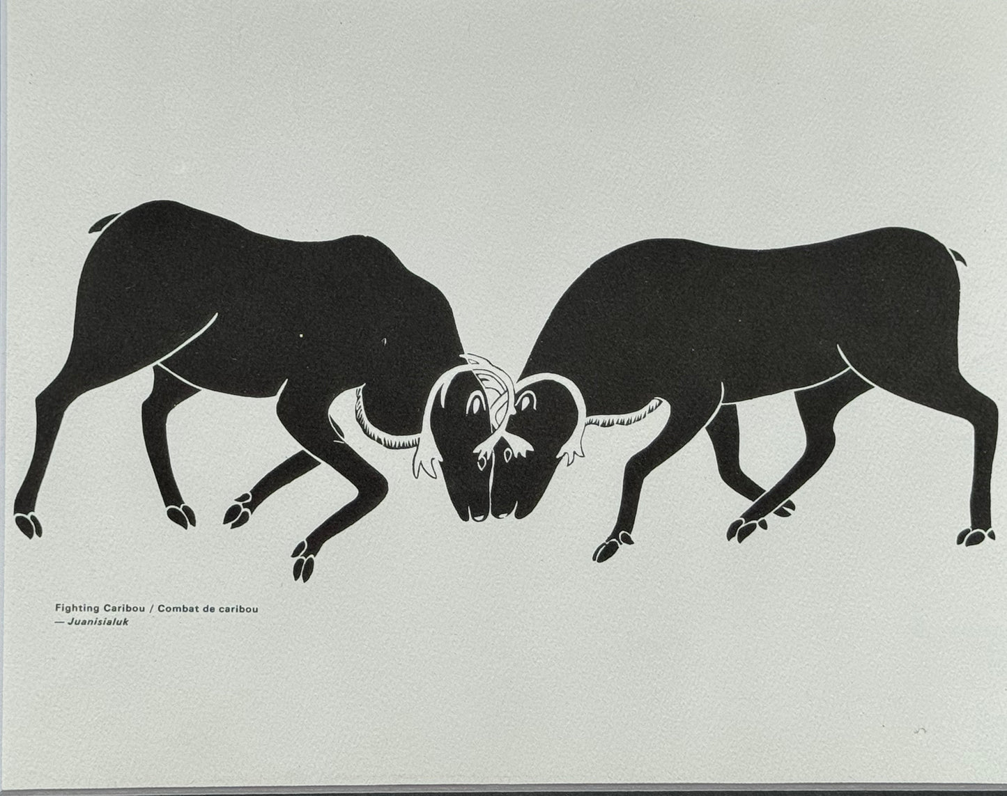 Combat de caribou / Fighting Caribou - Juanisialuk Irqumia - Collection Inuit