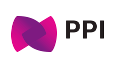 Activité Toile Collective - PPI