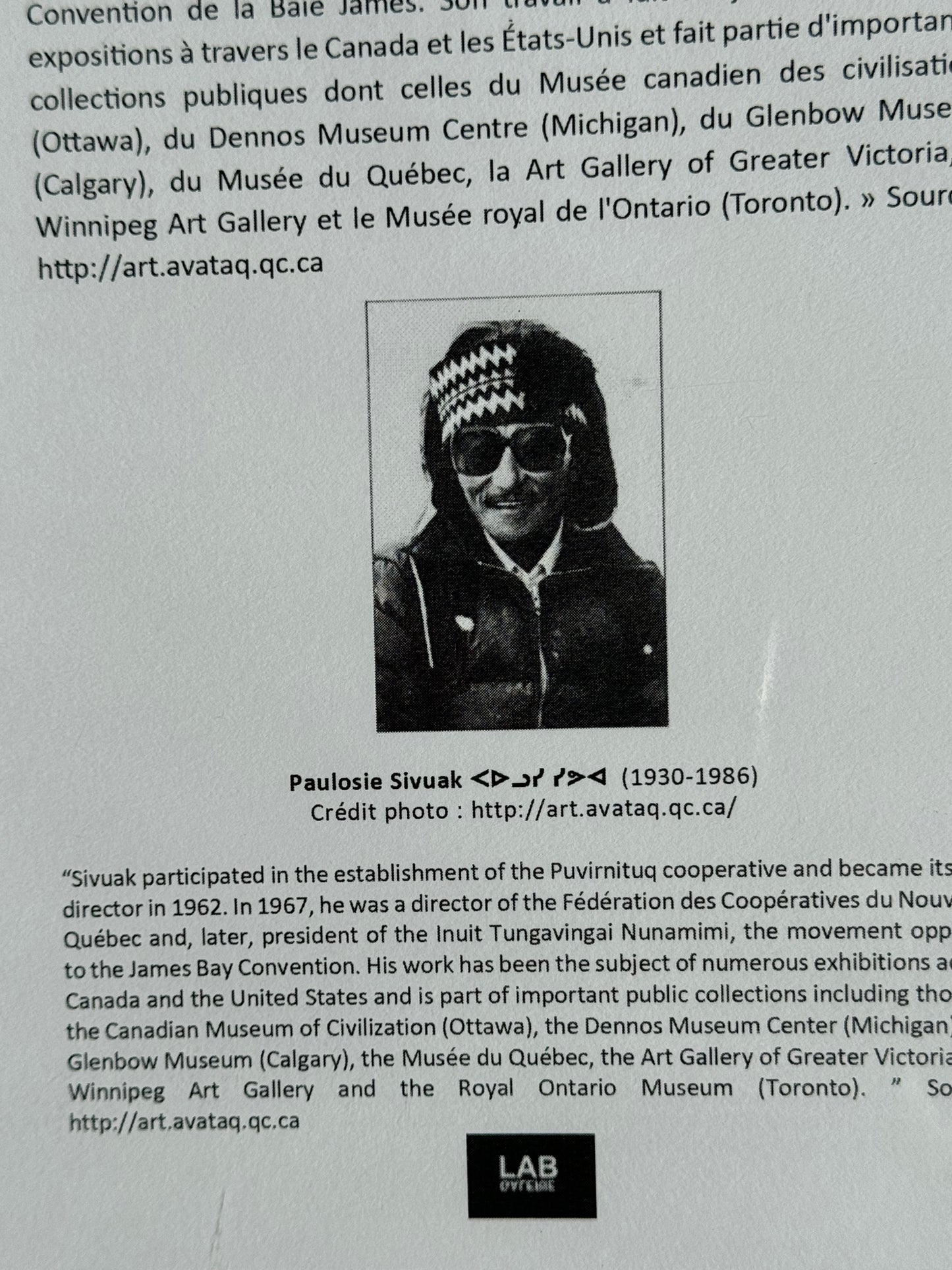 Oie - Goose - Paulosie Sivuak - Collection Inuit
