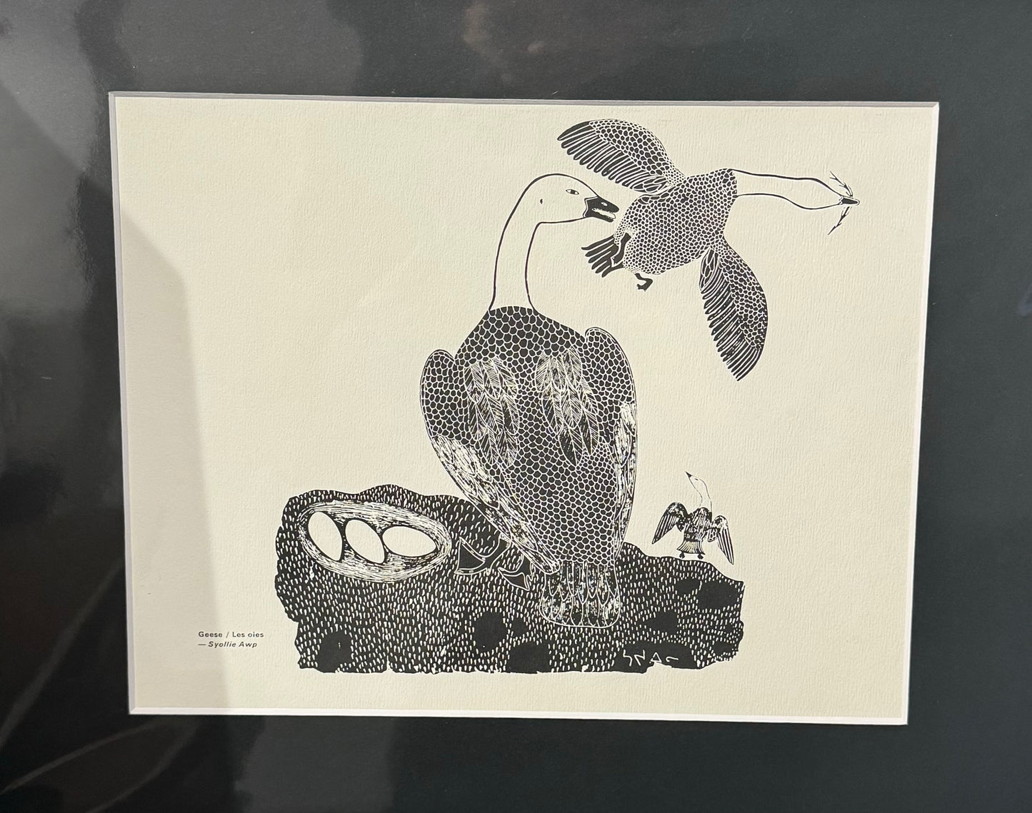 Les Oies - Syollie Awp - Collection Inuit