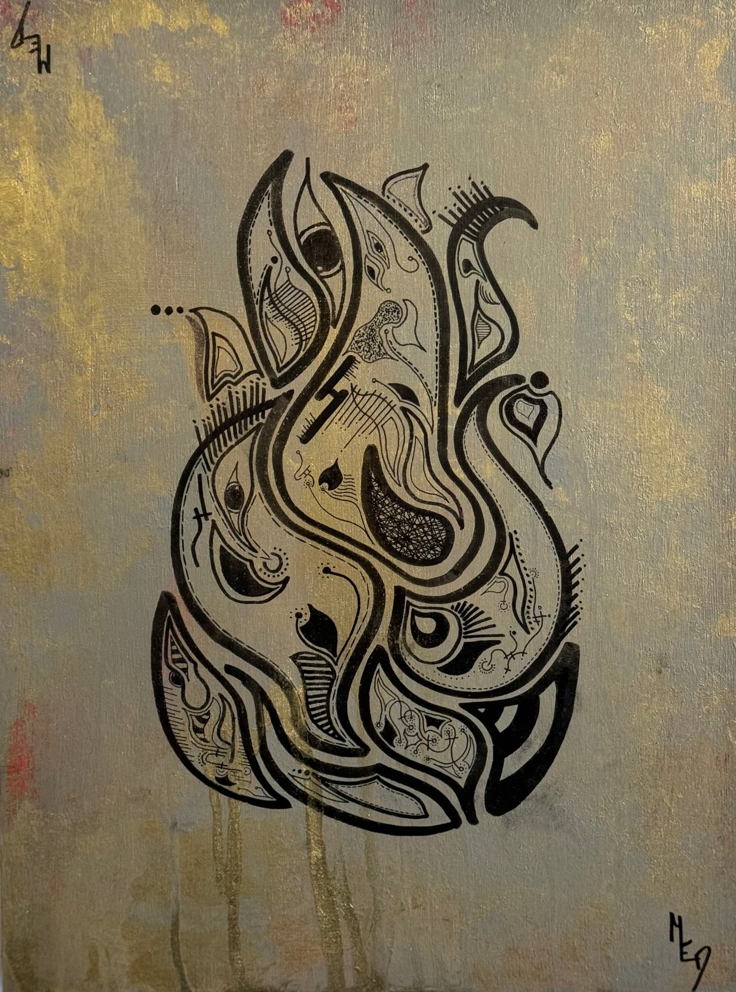 MED - DRAKON