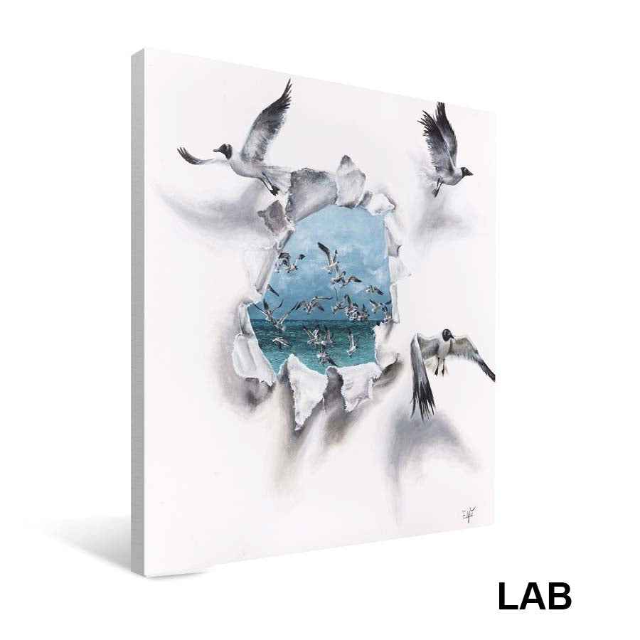 Elfée - Bleutée - 🔴