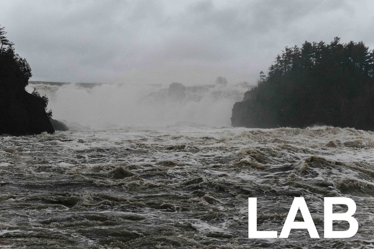 Shown Morin - Charny - Impression sur Toile - Canvas Print - Live Art Business - LAB