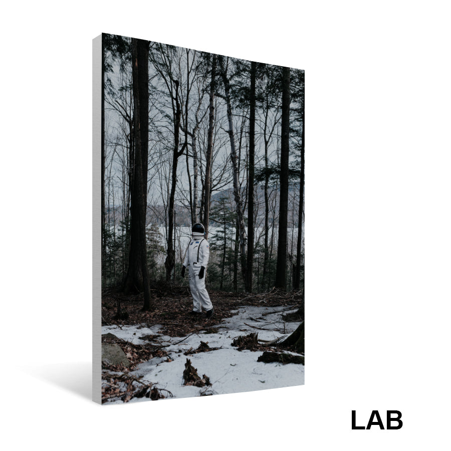 Shown Morin - Discovery - Impression sur Toile - Canvas Print - Live Art Business - LAB