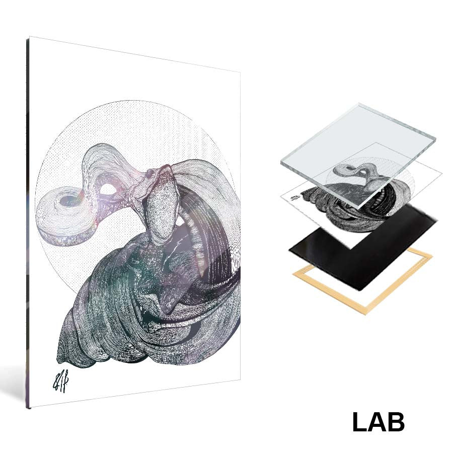 Yoann P - Hybride #2 - Acrylique Glacé - Clear Acrylic - Live Art Business - LAB