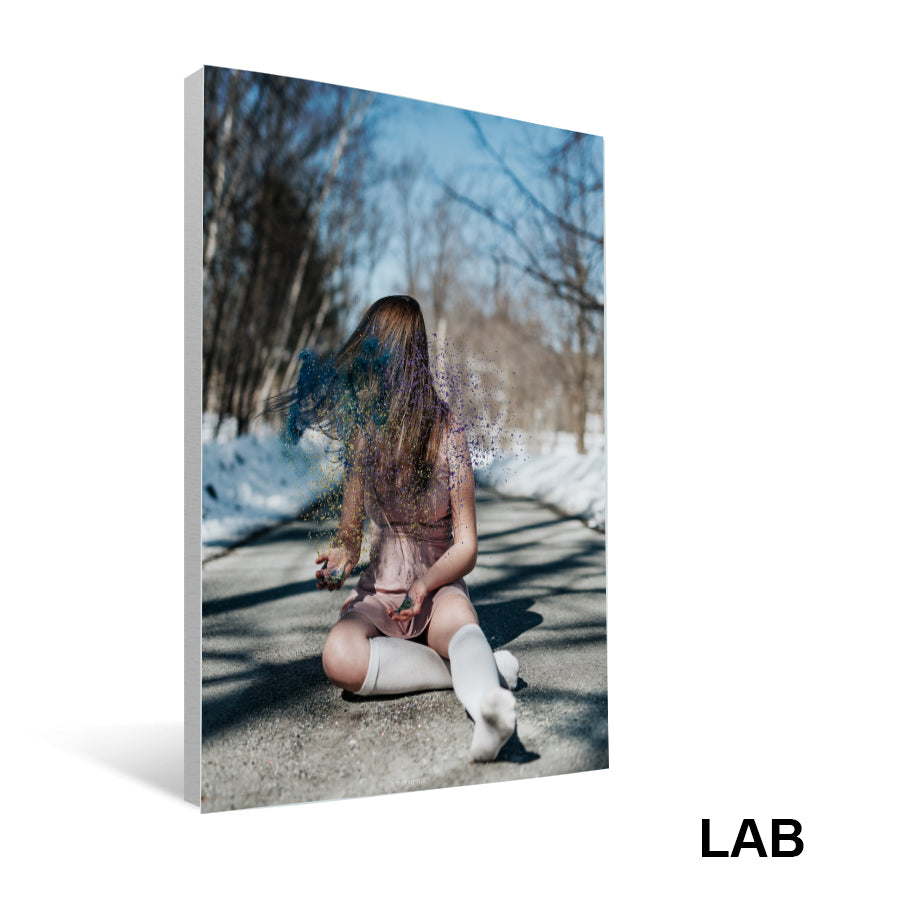 Shown Morin - Lankansyel - Impression sur Toile - Canvas Print - Live Art Business - LAB