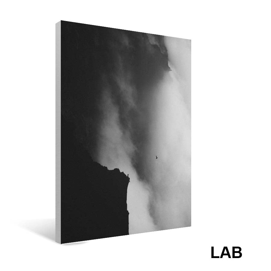 AEFORIA - Letting Go - Impressions sur Toiles - Canvas Prints - Live Art Business - LAB