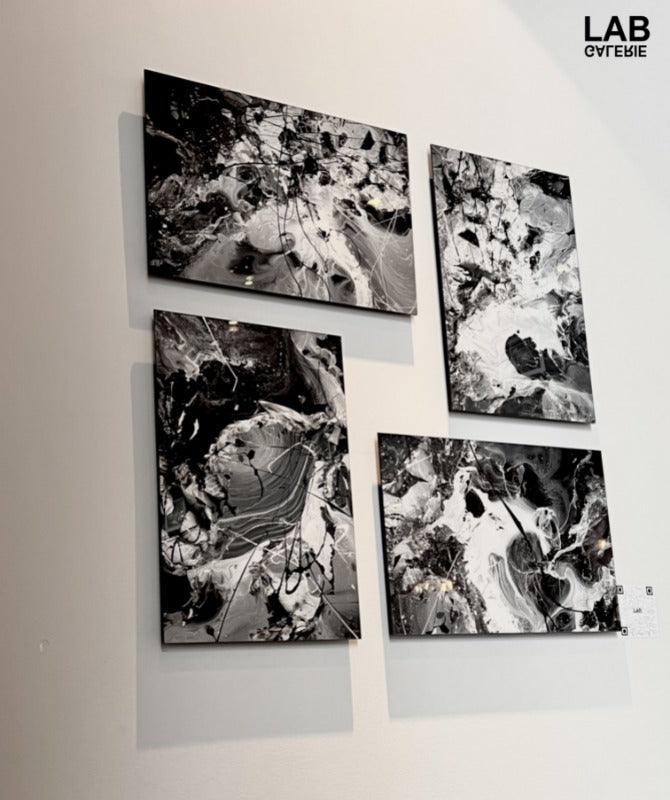 Luc Langlois - Promo - LAB Galerie