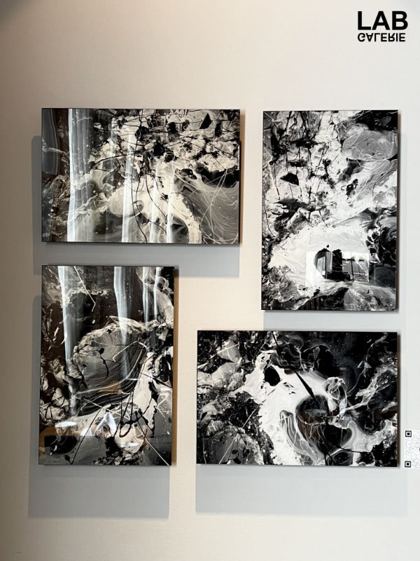 Luc Langlois - Promo - LAB Galerie