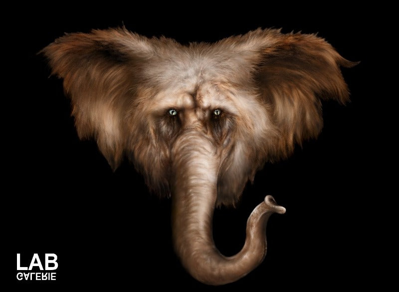 Daniel Victor - The Fantastic Beast - Original - Live Art Business - LAB