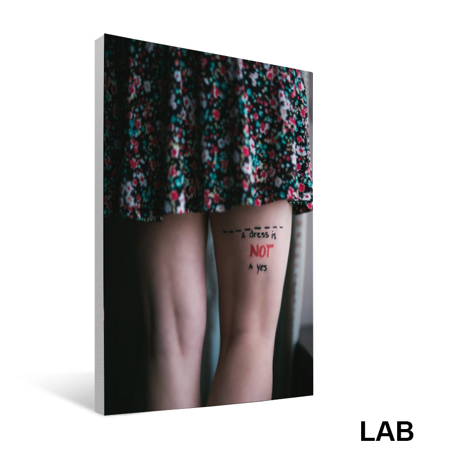 Shown Morin - NO - Impression sur Toile - Canvas Print - Live Art Business - LAB