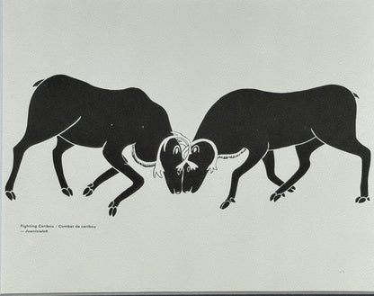 Combat de caribou / Fighting Caribou - Juanisialuk Irqumia -  Collection Inuit