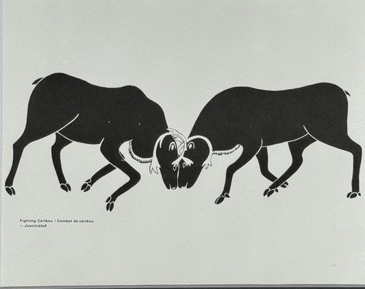 Combat de caribou / Fighting Caribou - Juanisialuk Irqumia -  Collection Inuit