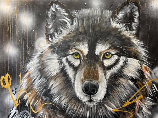 CAT- Artiste Peintre - Artist - LAB Gallery - LAB Galeries - LAB Galerie - Art Gallery - Artworks for sale - original - Catherine Piché