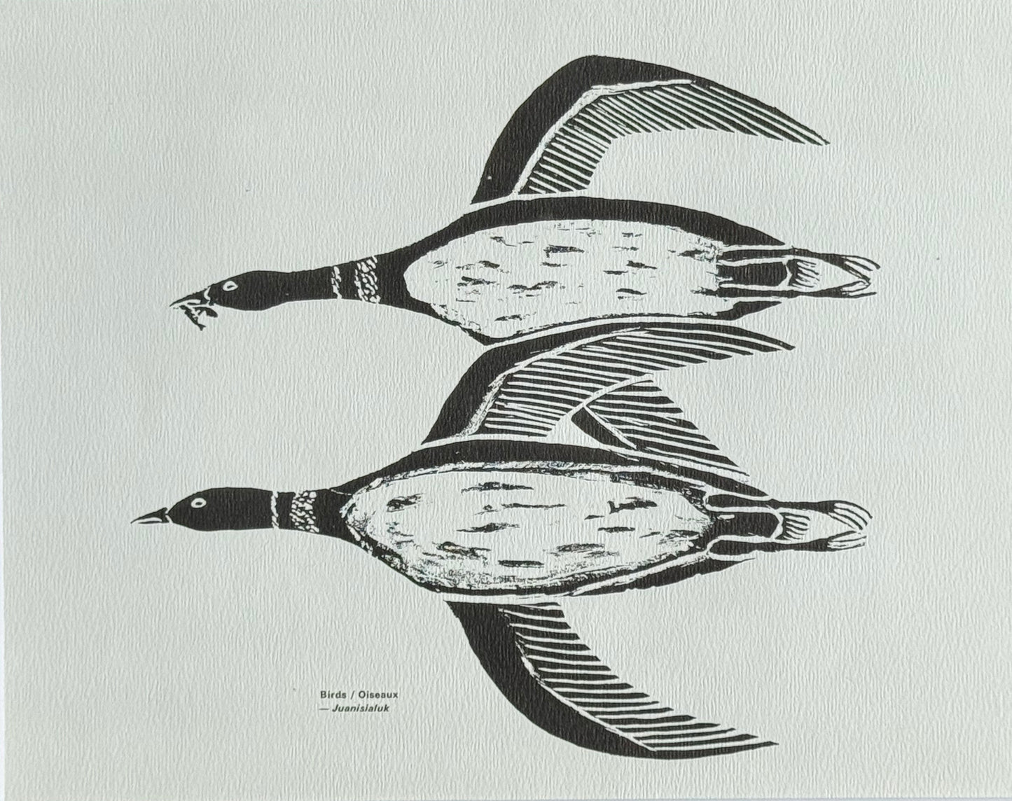 Oiseaux / Birds - Juanisialuk Irqumia - Collection Inuit